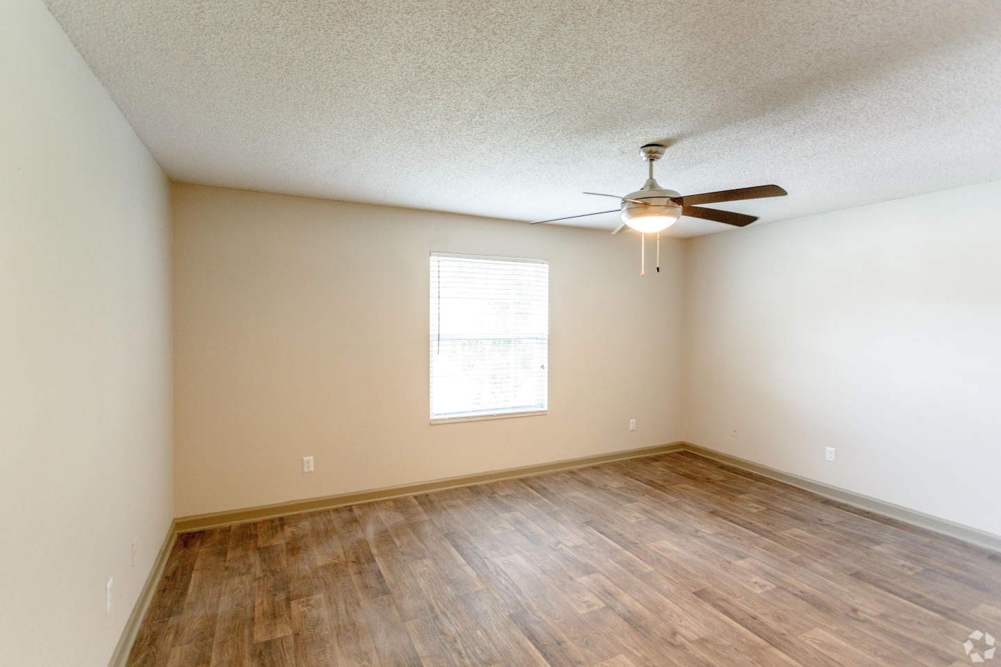 Southern Image 41