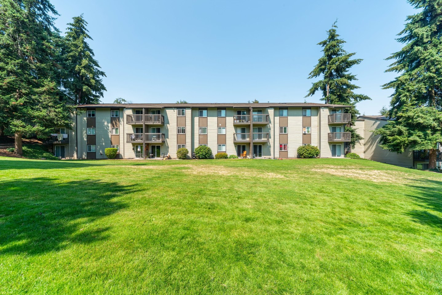 Terra Apartments Image 15