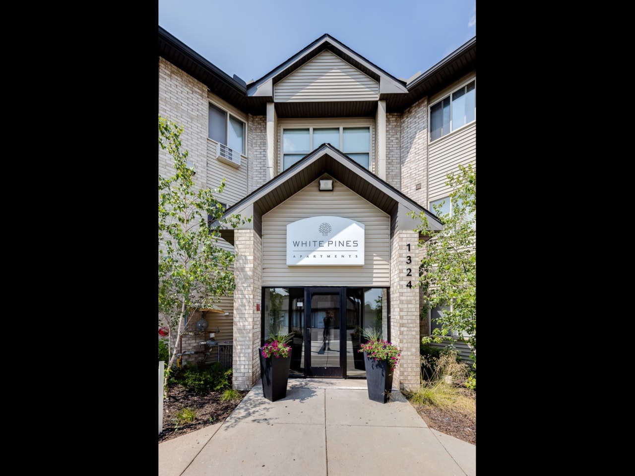 White Pines Image 20