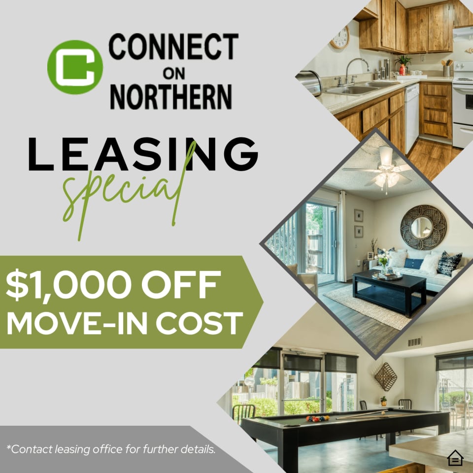 Connect on Northern Image 1