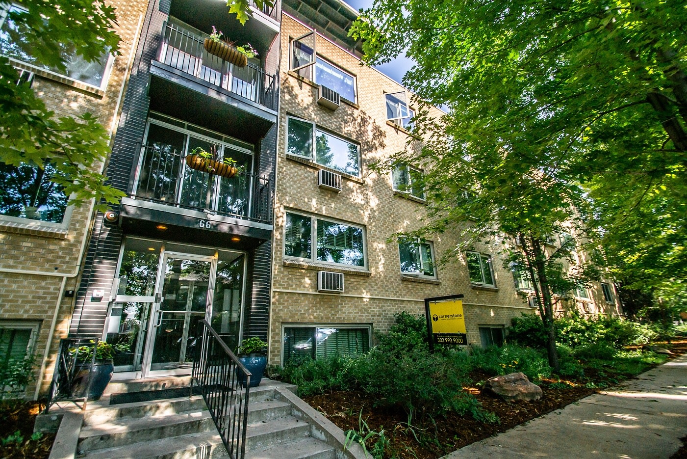 66 Pearl Image 16