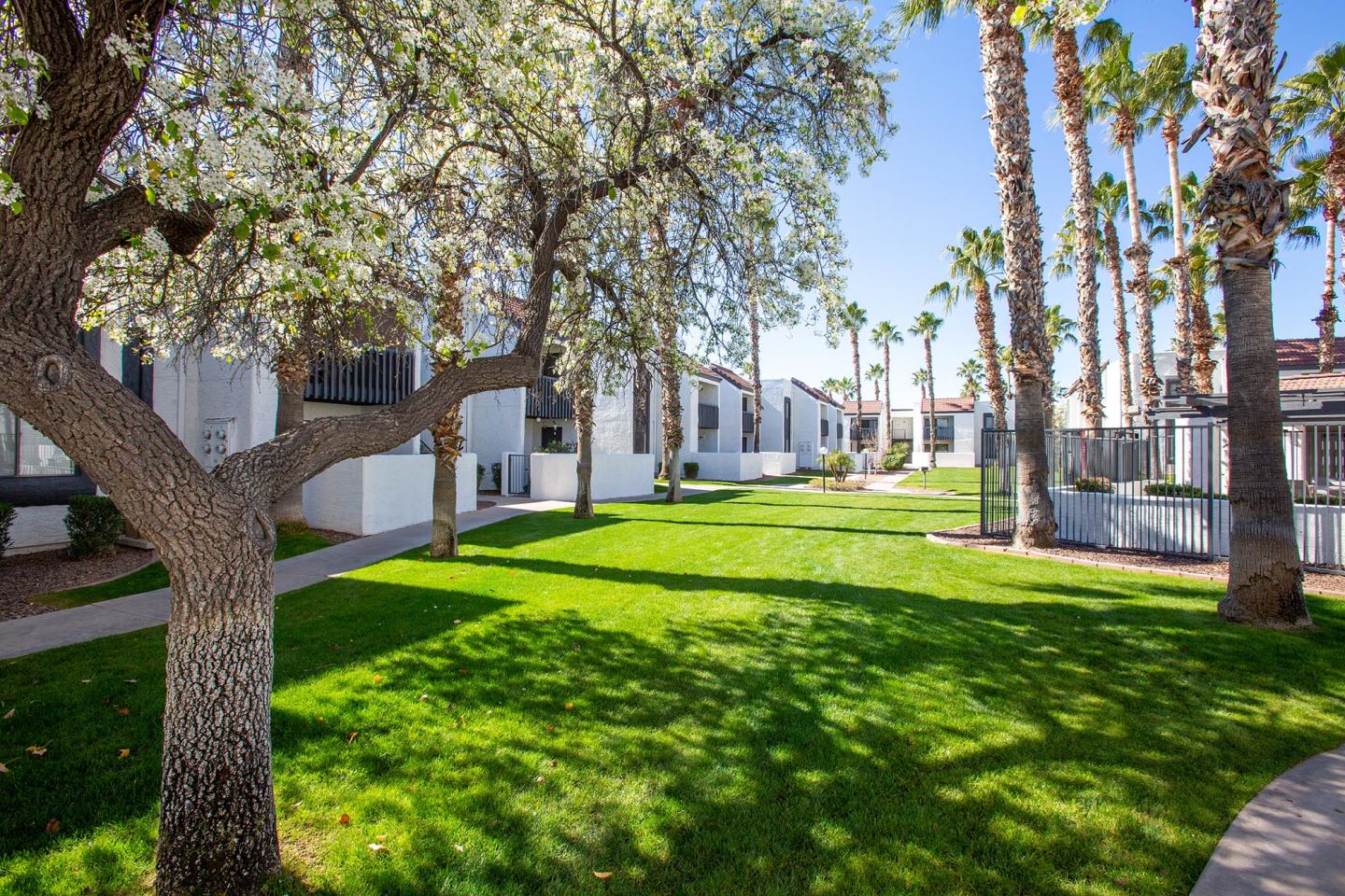 Townhomes on the Park Image 40