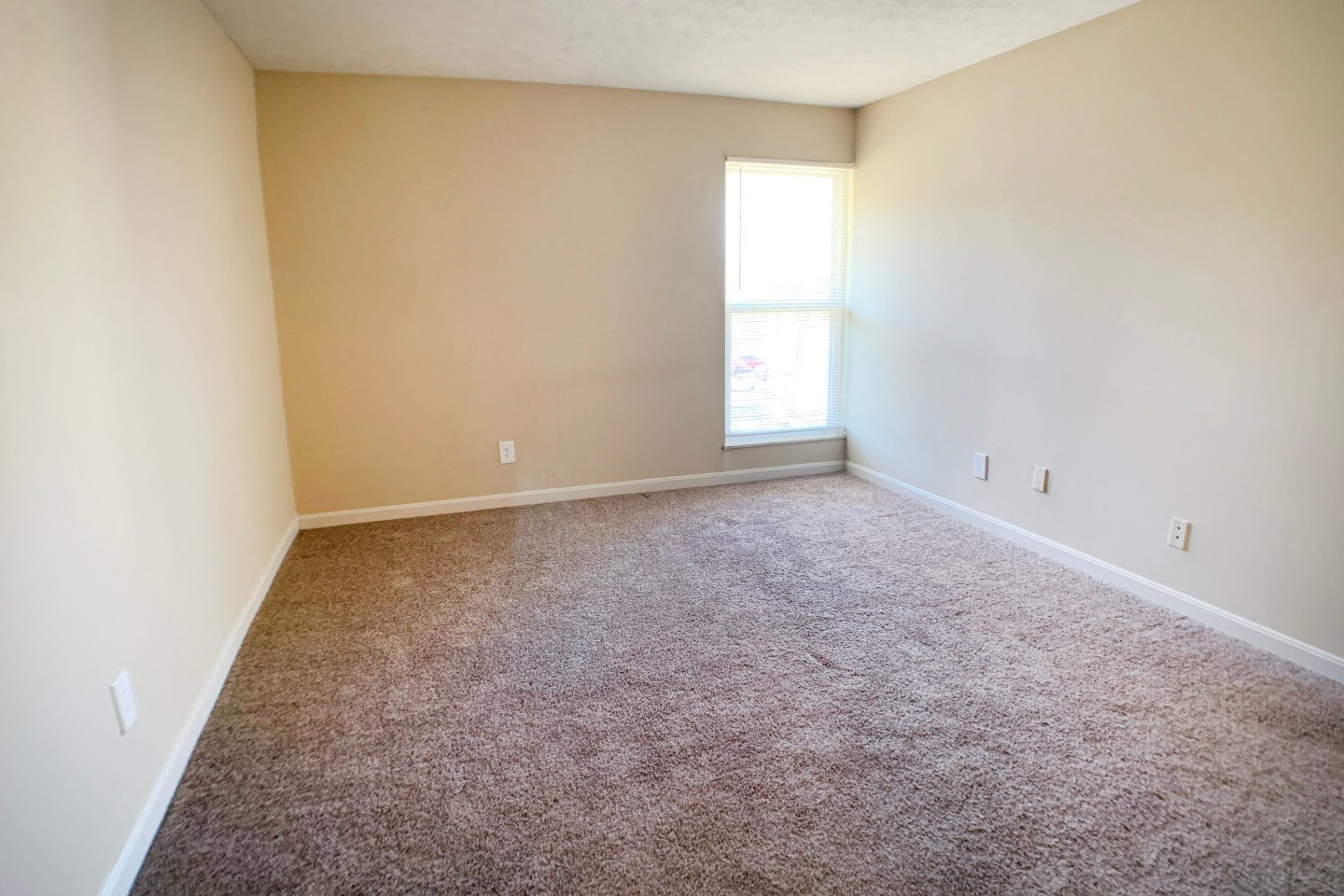 Timber Ridge Image 42
