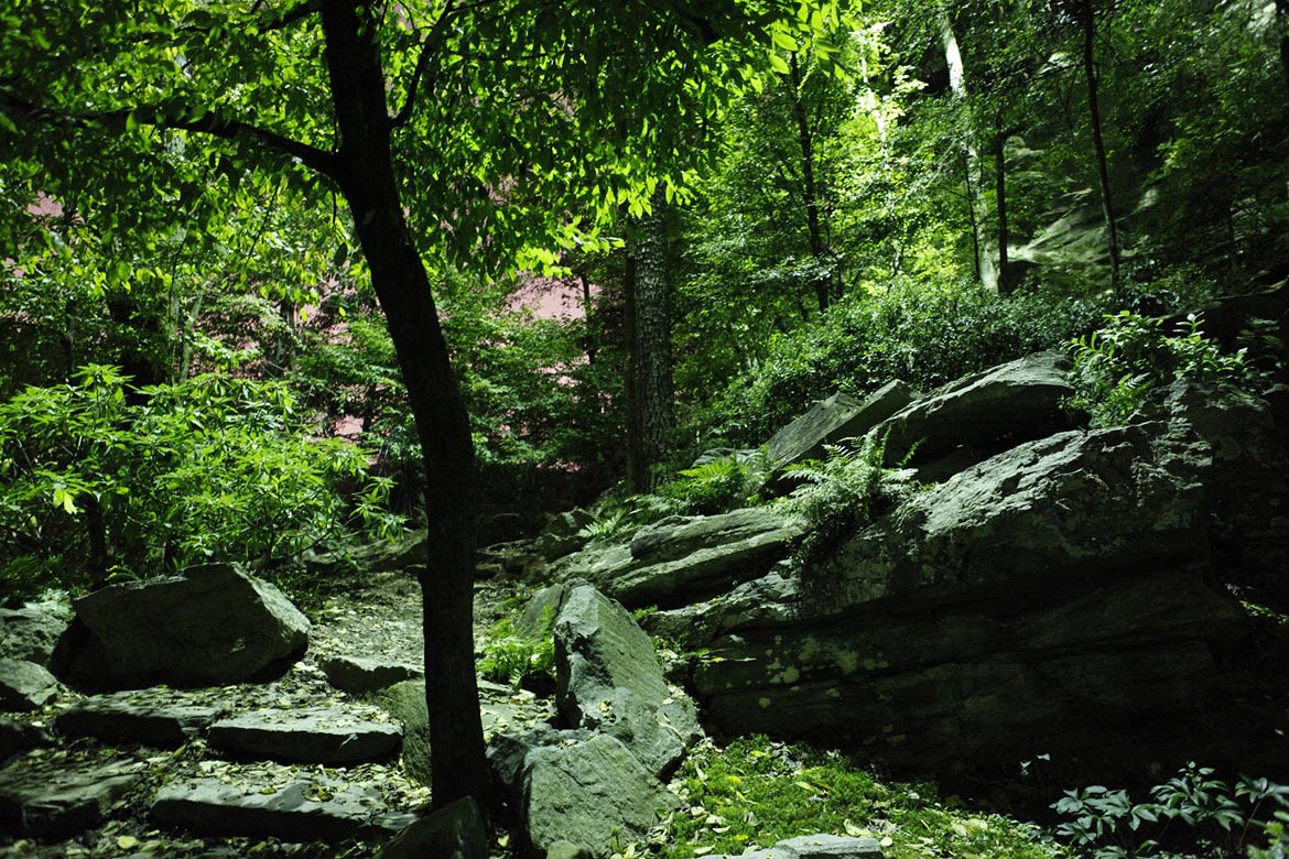 Walton on the Chattahoochee Image 25
