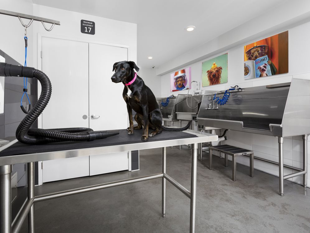 AVA Toluca Hills Image 41