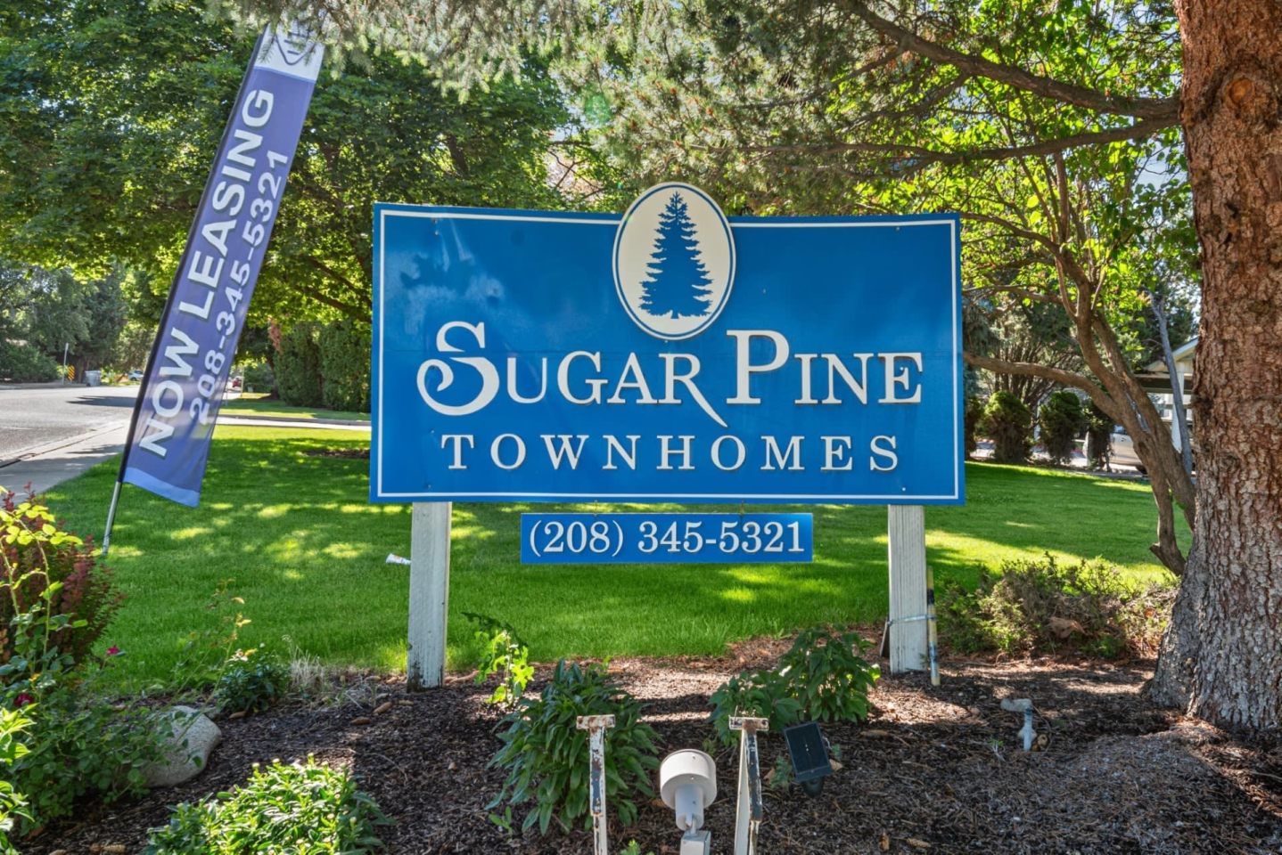 Sugar Pine Townhomes Apartments Image 34