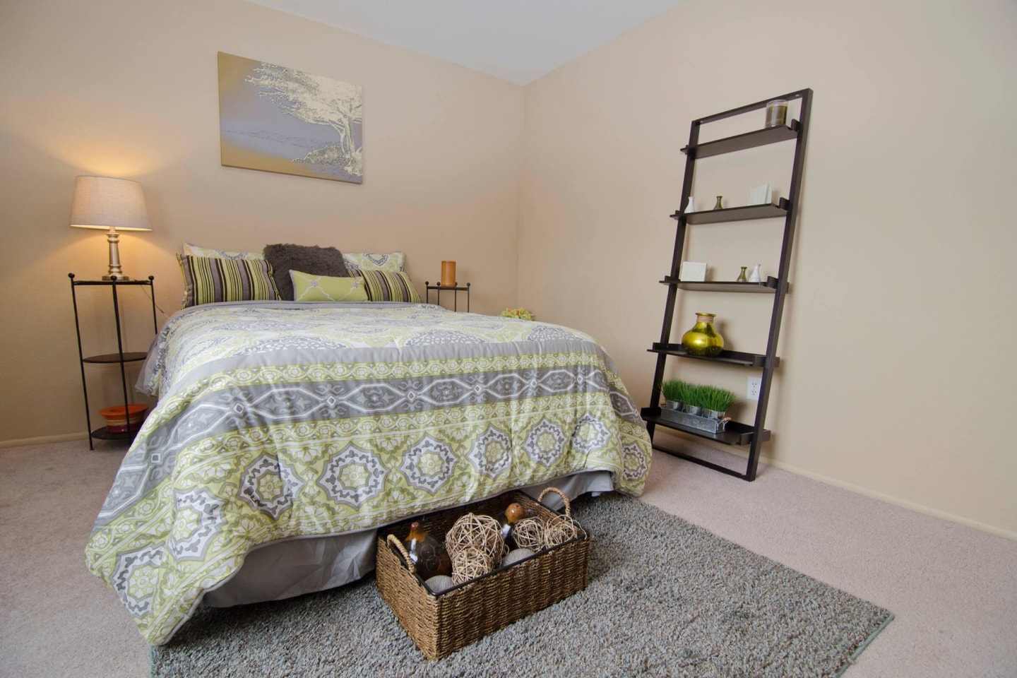 College Towne Apartments Image 28
