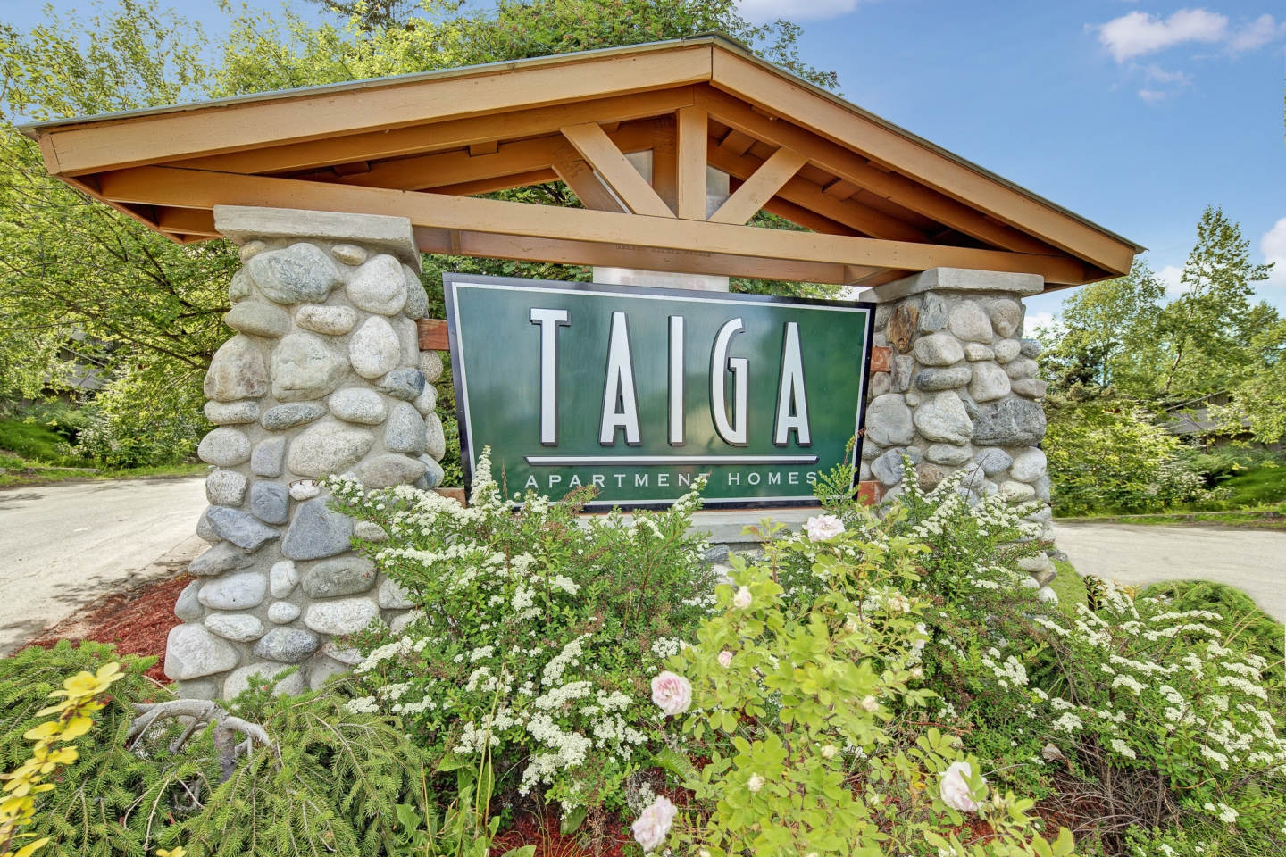 Taiga Image 18