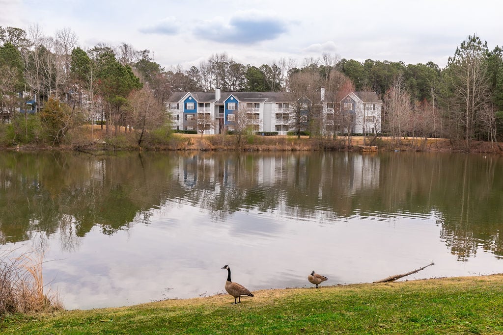 Peaks Landing Image 14