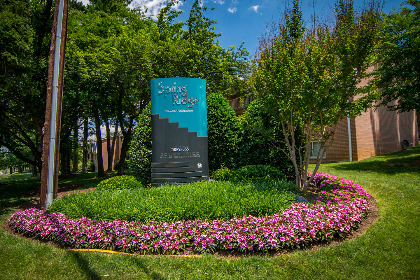 Spring Ridge Apartments Image 5