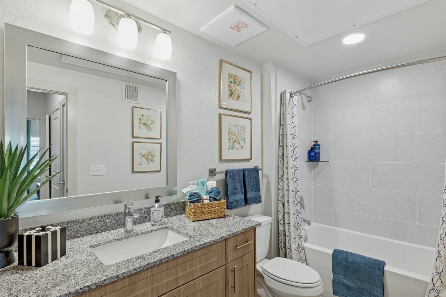 Brazos Oaks Image 8
