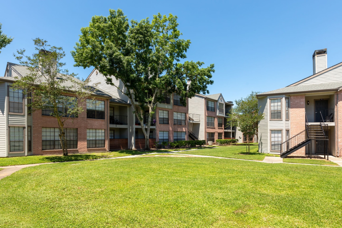 McAlister Image 3