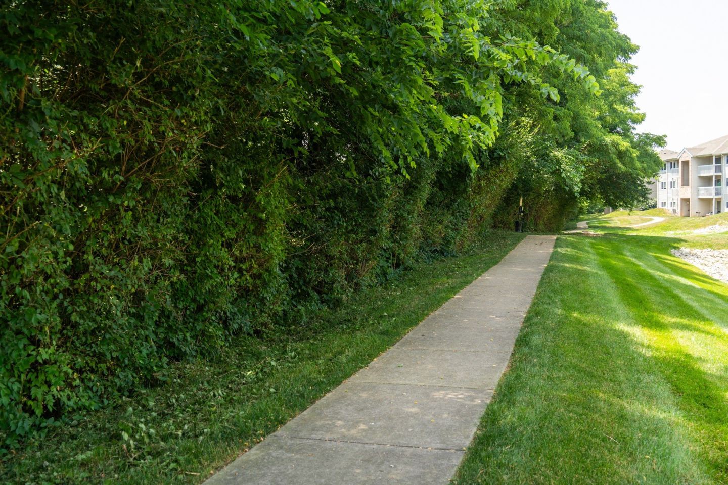 Honey Creek Image 20