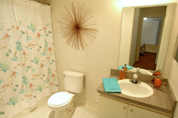 Towne Square Apartments Image 7