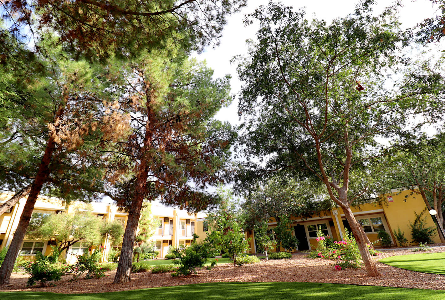 Villas Las Mandarinas Image 20