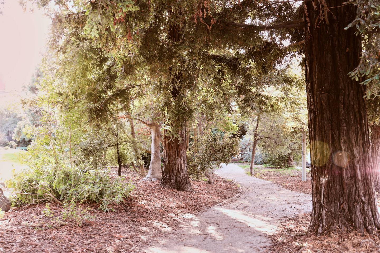 The Landing Image 10