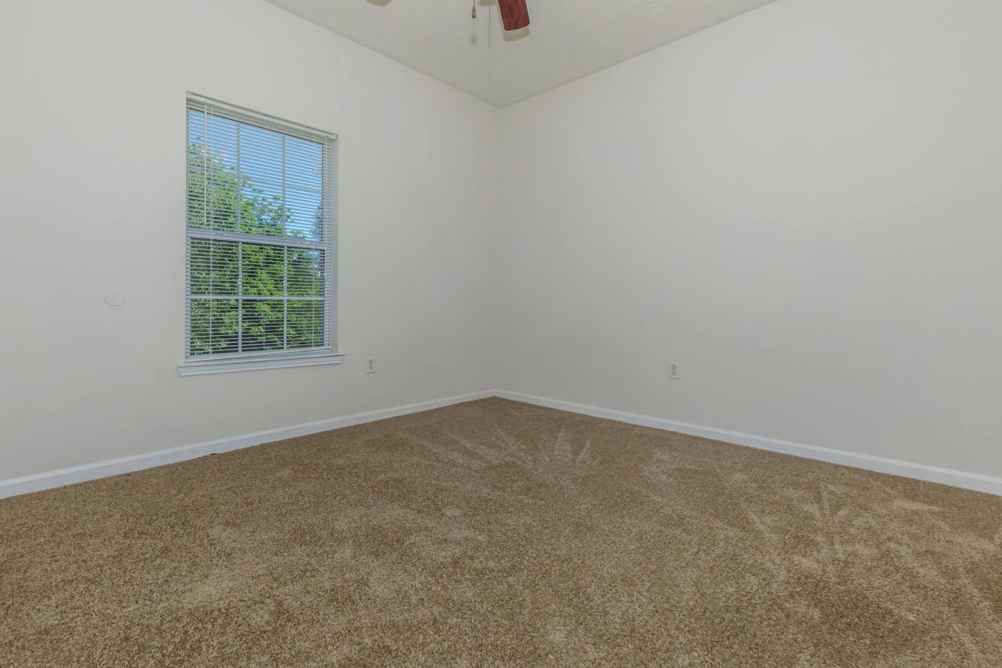 Cedar Park Image 15