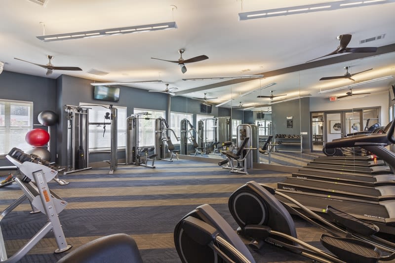 McKinney Pointe Image 16