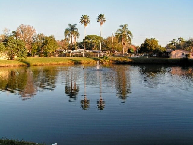 Imperial Palms Image 34