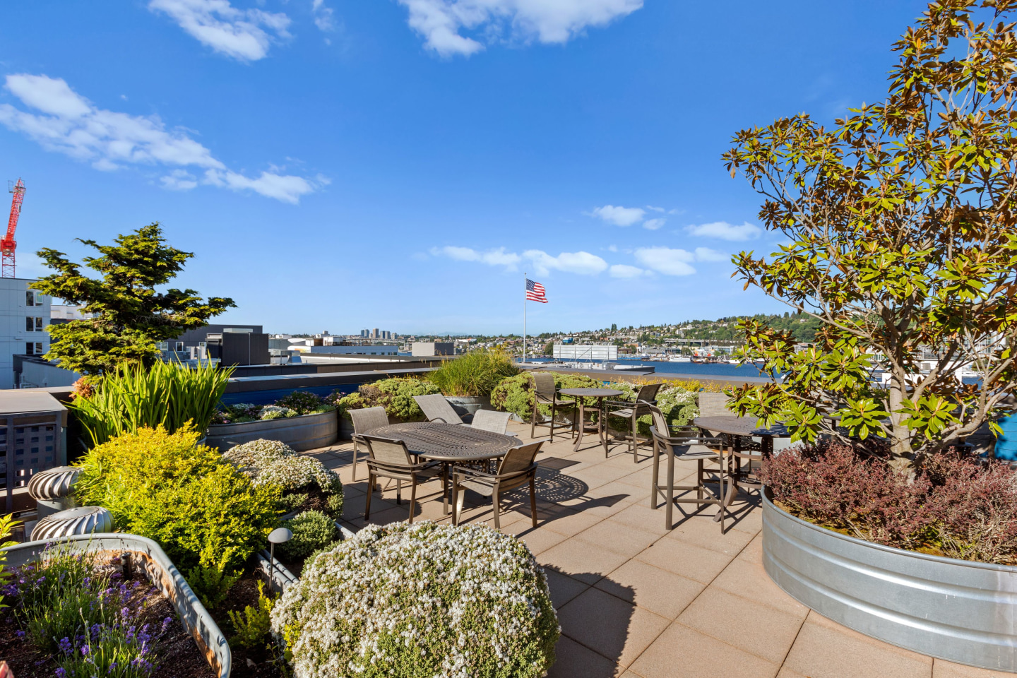 Dexter Lake Union Image 50