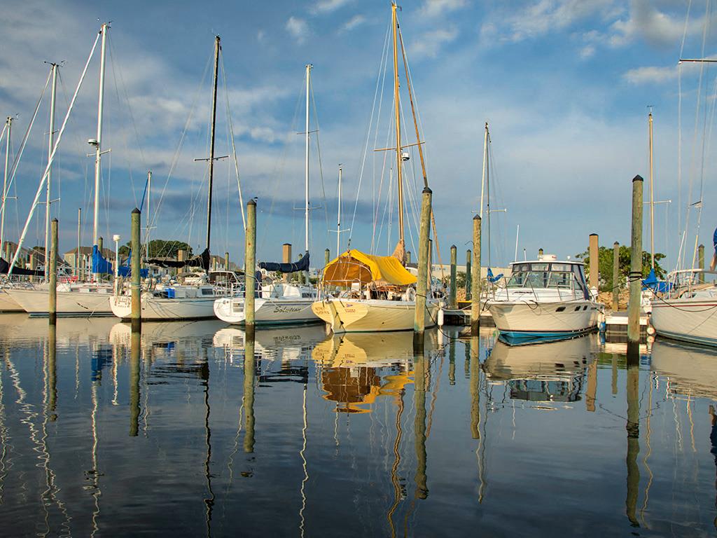 The Port at East Beach Image 23