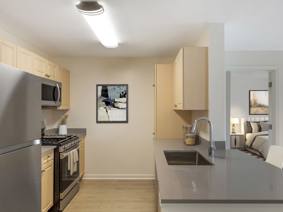 Avalon Acton Image 19