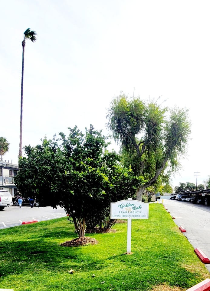 Golden Oaks Image 13