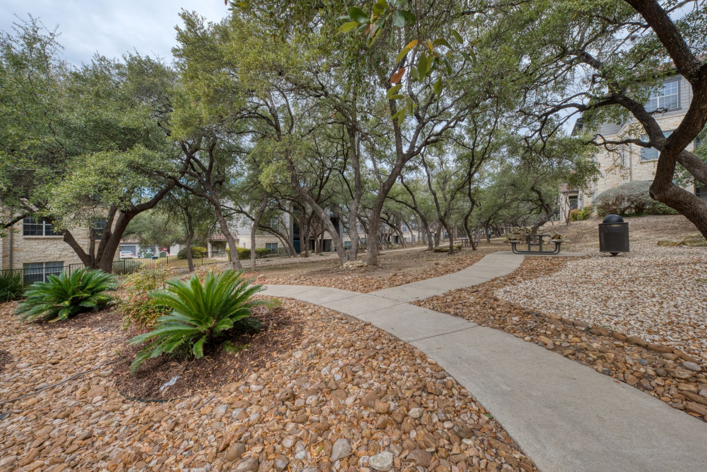 Laurel Canyon Image 34