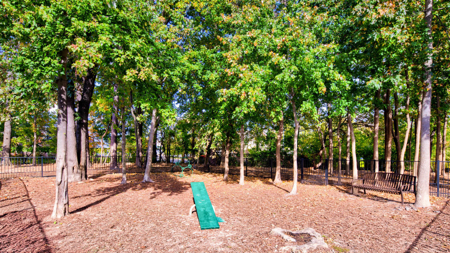 Solace Apartments Image 16