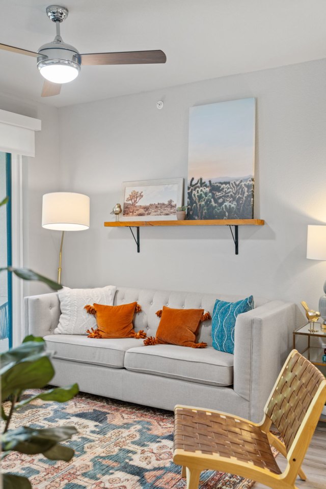 The Standard Image 62