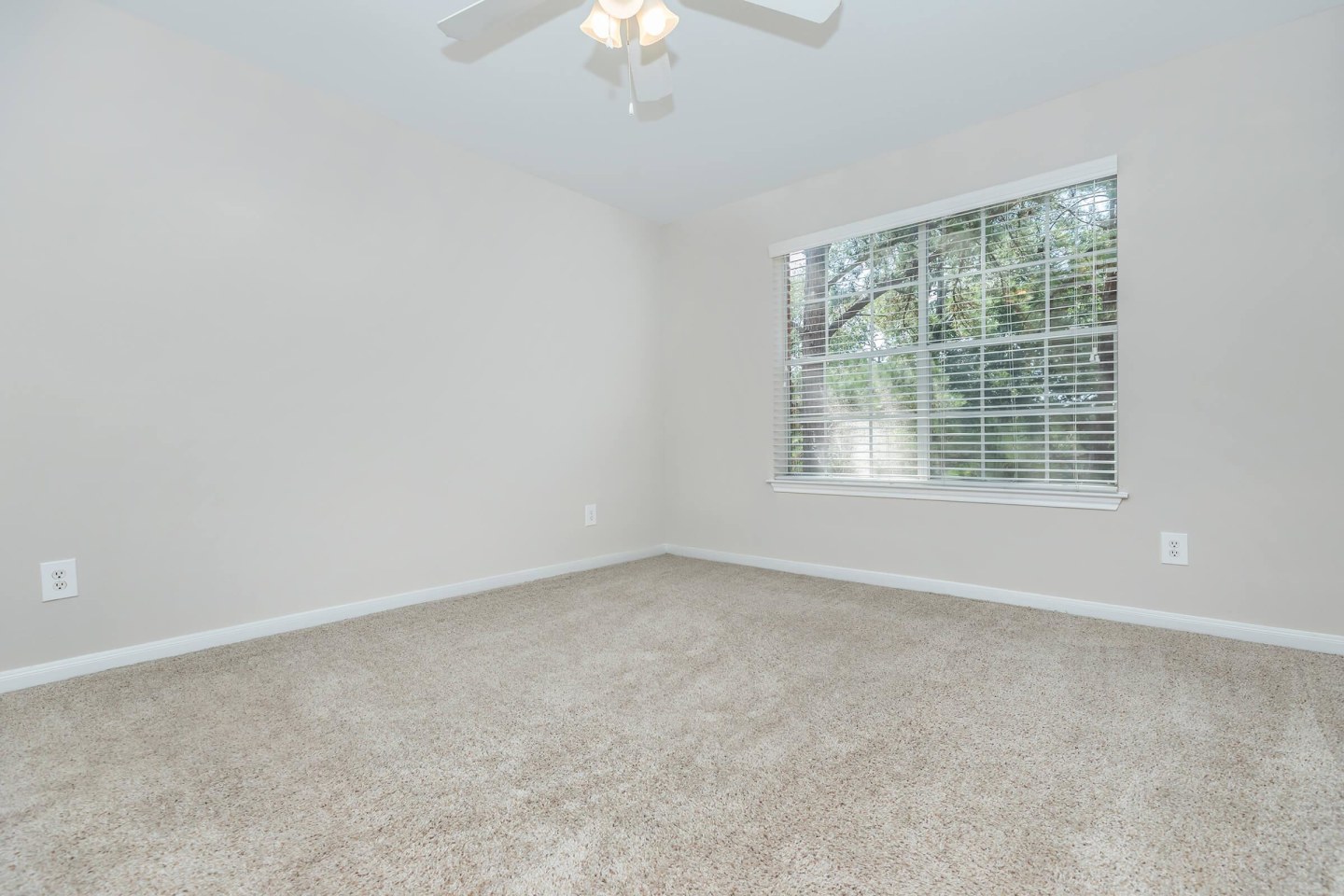 White Oak Image 34