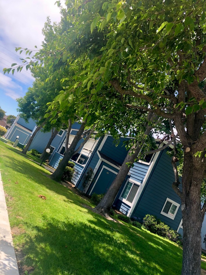 Mariner Village Image 7