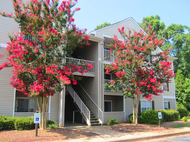 Clemson Ridge Image 8