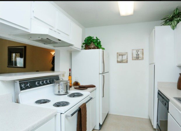 Walnut Terrace Image 8