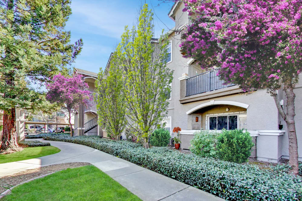 Hawthorn Village Image 28