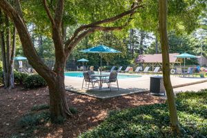 Windward Forest Image 20