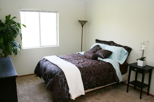 Terrace Park Apartments Image 3
