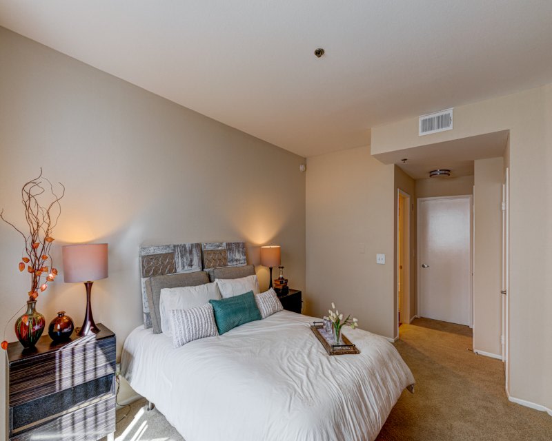 Palm Court Apartments Image 16