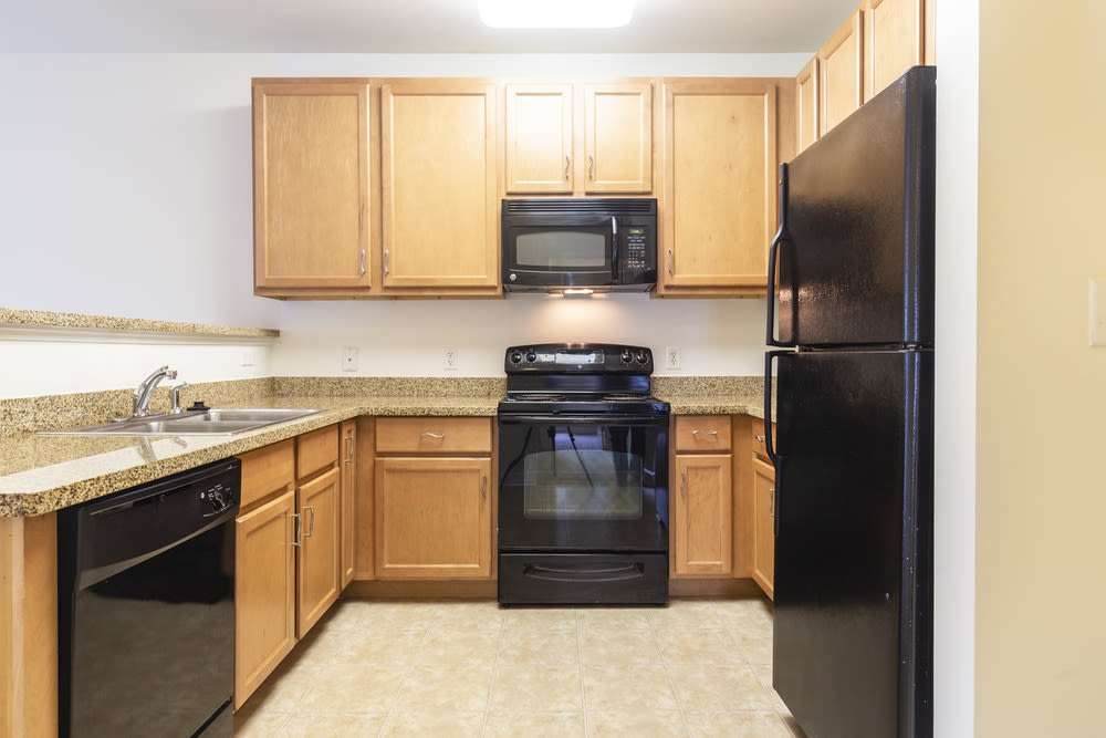 The Pointe - Student Housing Image 2