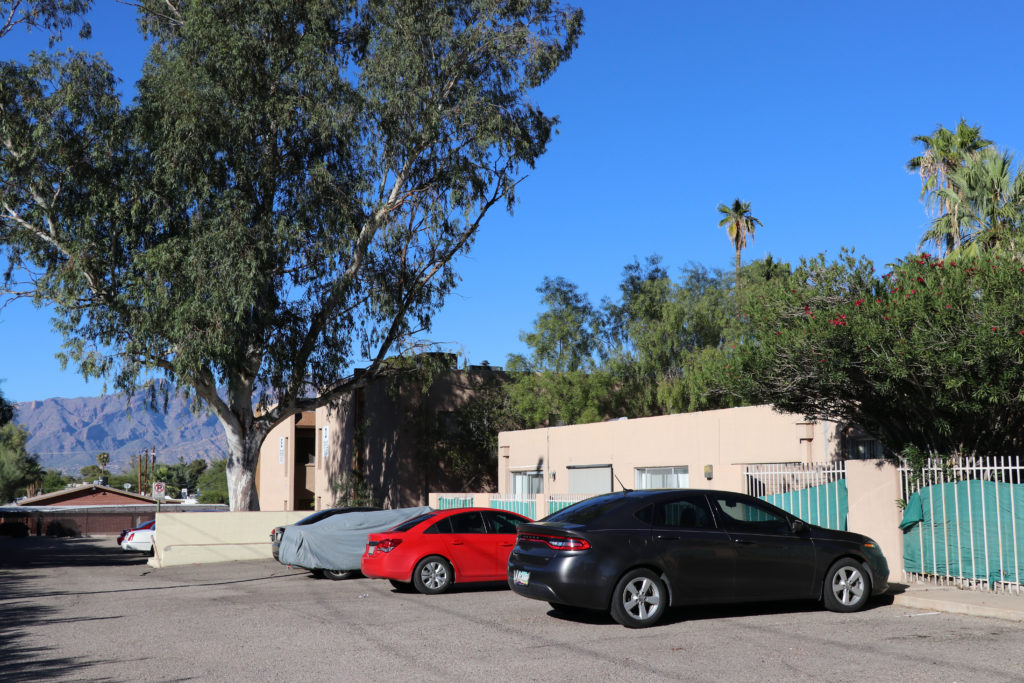 Palm Garden Image 16