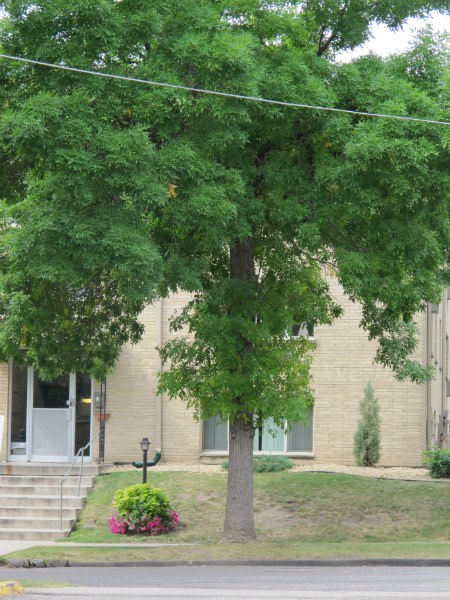 LaBlanche Apartments Image 9