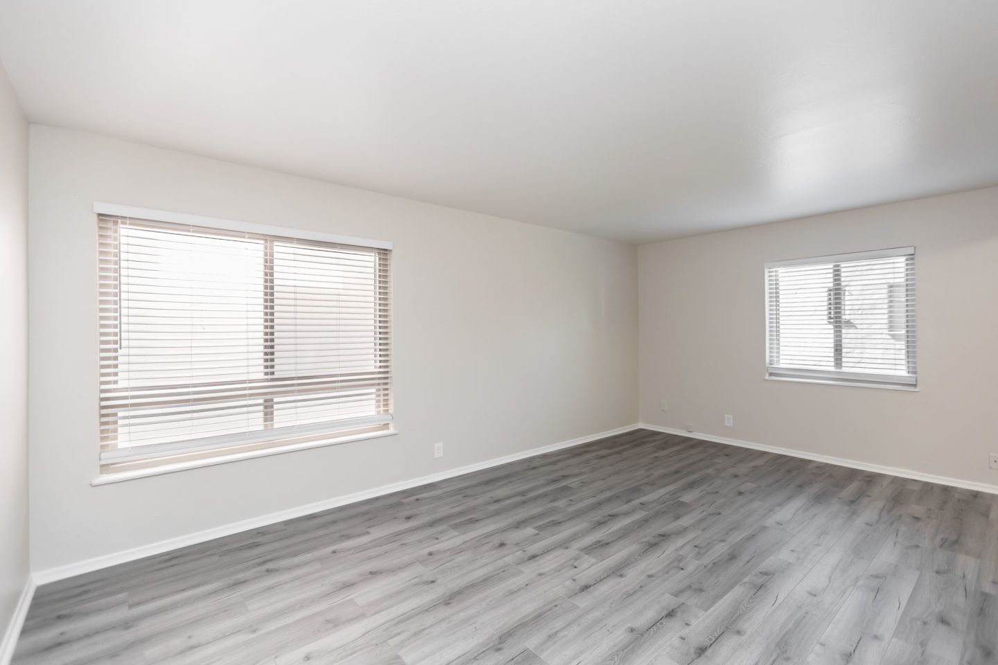 355 Staten Image 1