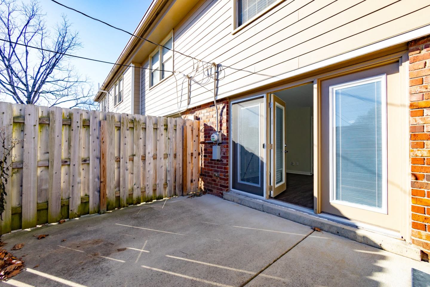 Monon Living Image 63