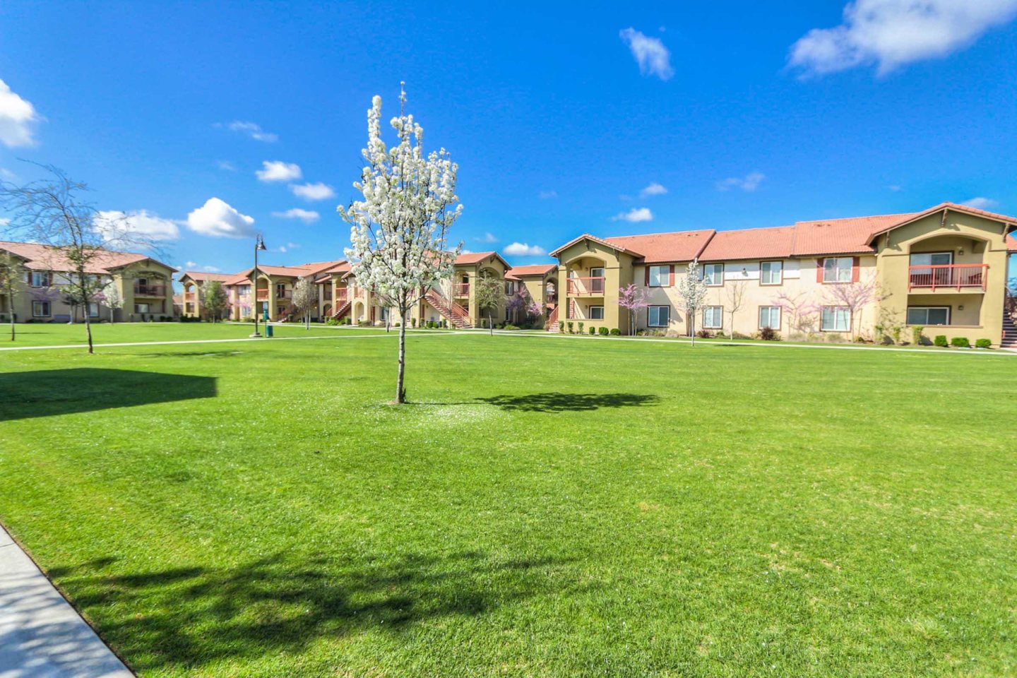Village at Henderson Image 36