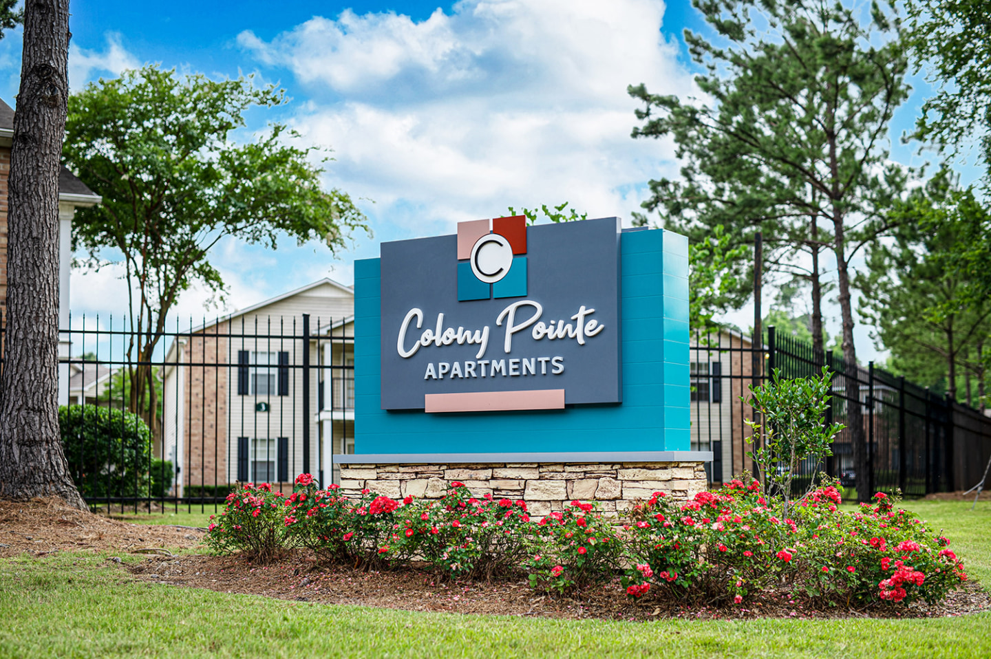 Colony Pointe Image 16