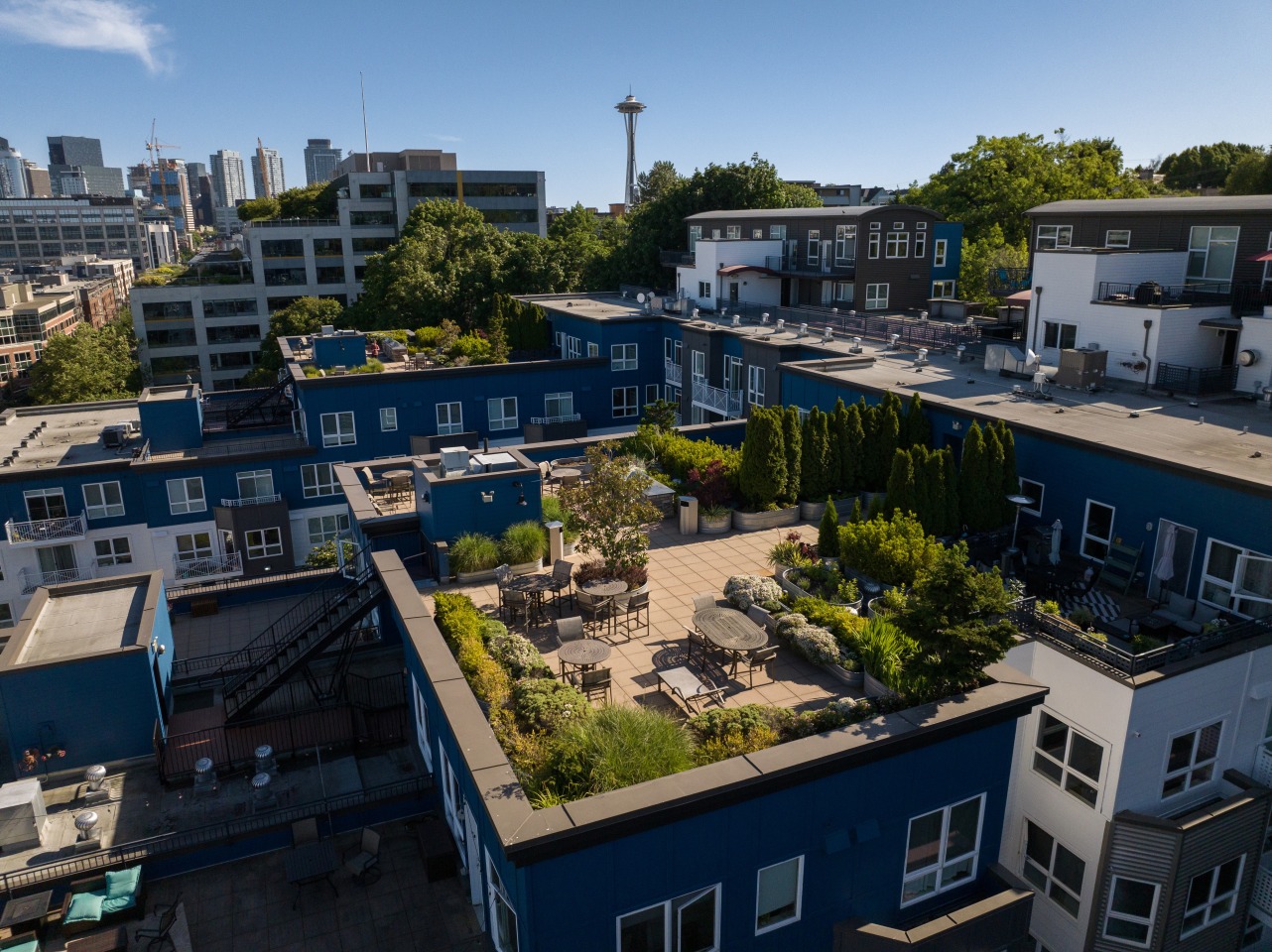 Dexter Lake Union Image 5