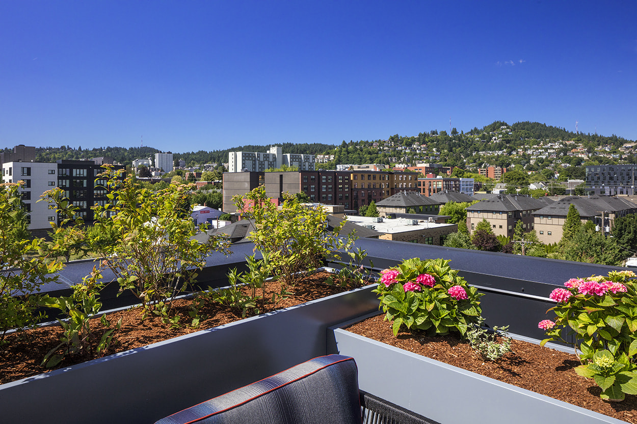 Slabtown Flats Image 30