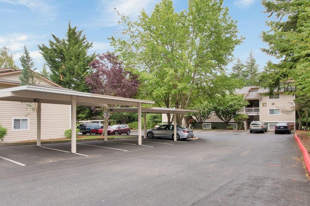 The Park at Cooper Point Apartments Image 15