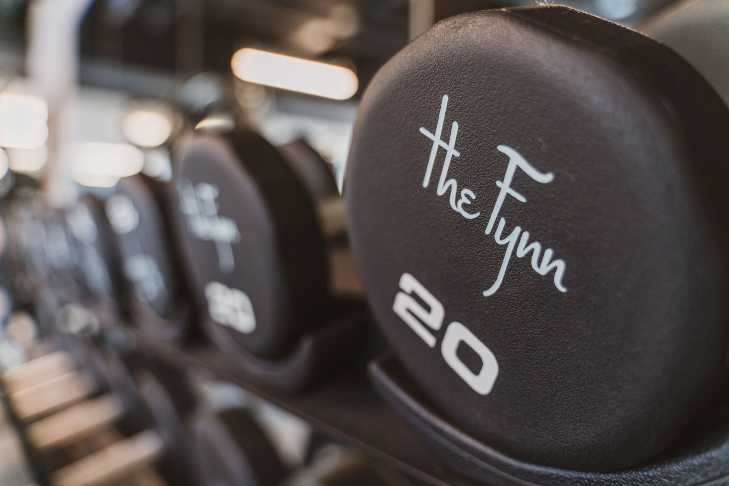 The Fynn Image 51