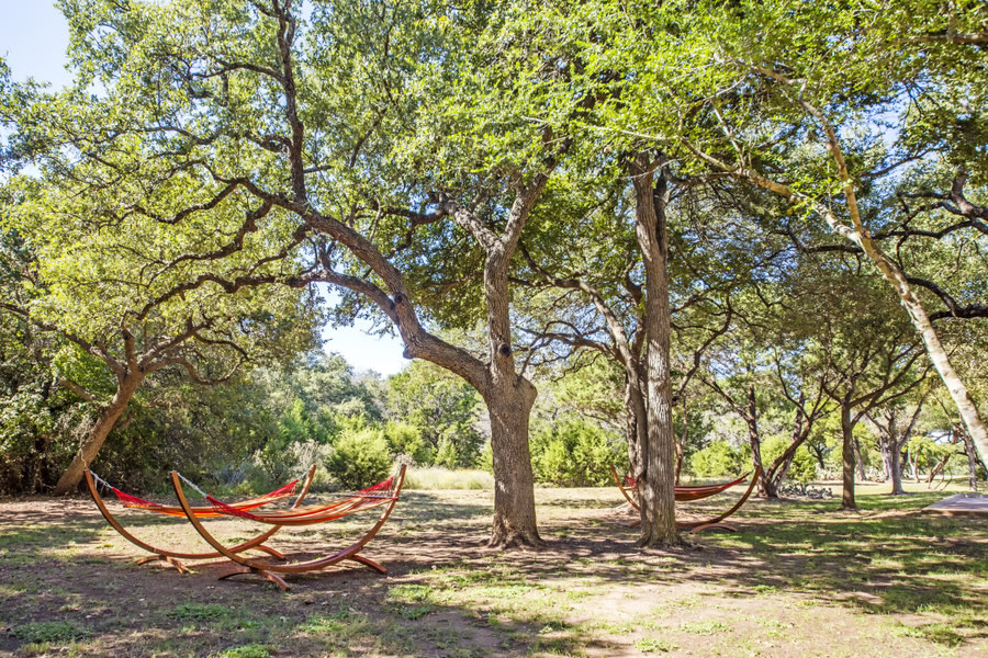 Abelia Flats Image 18